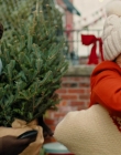 Filename=2022_-_Christmas_Plus_One_mp42647.jpg
Filesize=1033KiB
Dimensions=1920x1080
Date added=Aug 11, 2025 2022_-_Christmas_Plus_One_mp42647.jpg