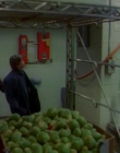 Filename=1996_-_Goosebumps_S01E16-17_mkv1543.jpg
Filesize=199KiB
Dimensions=708x576
Date added=Aug 13, 2025 1996_-_Goosebumps_S01E16-17_mkv1543.jpg