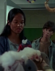 Filename=1998_-_Goosebumps_S04E05_mkv3485.jpg
Filesize=175KiB
Dimensions=714x576
Date added=Aug 13, 2025 1998_-_Goosebumps_S04E05_mkv3485.jpg