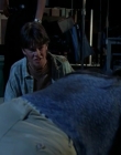 Filename=1998_-_Goosebumps_S04E06_mkv4062.jpg
Filesize=180KiB
Dimensions=714x576
Date added=Aug 13, 2025 1998_-_Goosebumps_S04E06_mkv4062.jpg