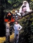 SummerOfTheMonkeys_28529.jpg