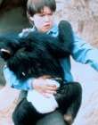 SummerOfTheMonkeys_28729.jpg