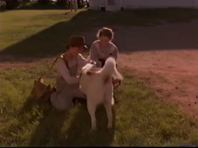 1998_-_Summer_of_the_Monkeys_01_mp40391.jpg