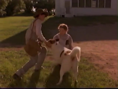 1998_-_Summer_of_the_Monkeys_01_mp40393.jpg