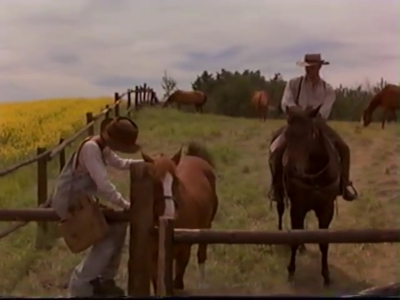 1998_-_Summer_of_the_Monkeys_01_mp40417.jpg