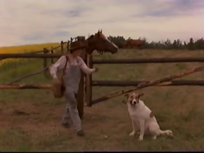 1998_-_Summer_of_the_Monkeys_01_mp40458.jpg