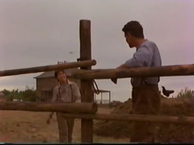 1998_-_Summer_of_the_Monkeys_02_mp40745.jpg