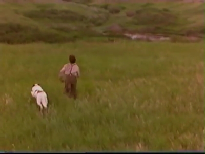 1998_-_Summer_of_the_Monkeys_02_mp40804.jpg