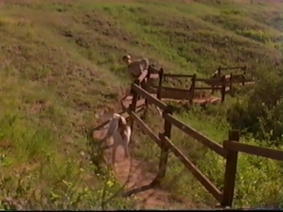 1998_-_Summer_of_the_Monkeys_02_mp40816.jpg