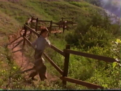 1998_-_Summer_of_the_Monkeys_02_mp40818.jpg