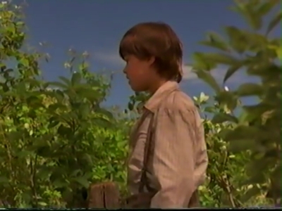 1998_-_Summer_of_the_Monkeys_02_mp40824.jpg