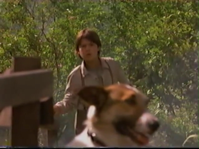1998_-_Summer_of_the_Monkeys_02_mp40836.jpg