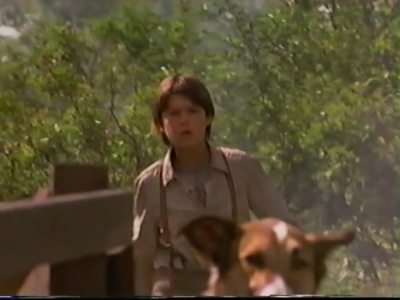 1998_-_Summer_of_the_Monkeys_02_mp40837.jpg