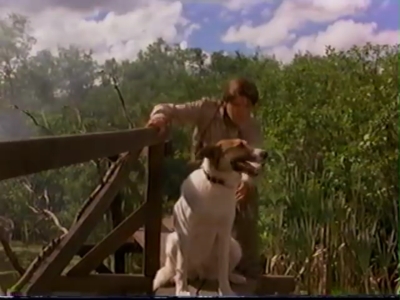 1998_-_Summer_of_the_Monkeys_02_mp40839.jpg