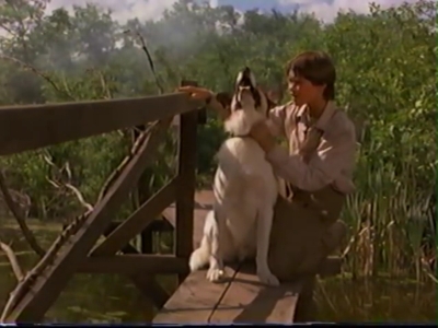 1998_-_Summer_of_the_Monkeys_02_mp40846.jpg