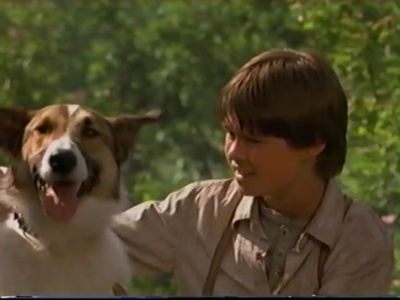 1998_-_Summer_of_the_Monkeys_02_mp40852.jpg