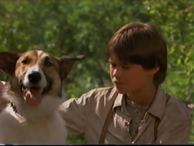 1998_-_Summer_of_the_Monkeys_02_mp40853.jpg
