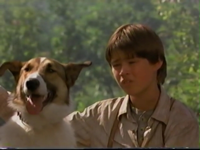 1998_-_Summer_of_the_Monkeys_02_mp40858.jpg