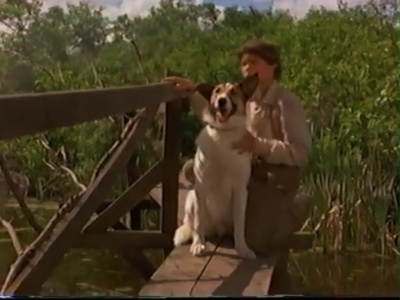 1998_-_Summer_of_the_Monkeys_02_mp40860.jpg