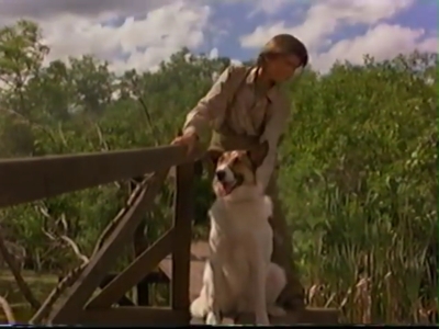 1998_-_Summer_of_the_Monkeys_02_mp40861.jpg