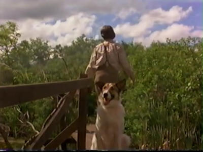 1998_-_Summer_of_the_Monkeys_02_mp40862.jpg