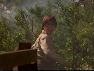 1998_-_Summer_of_the_Monkeys_02_mp40889.jpg