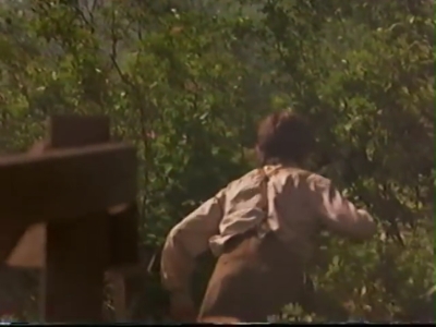 1998_-_Summer_of_the_Monkeys_02_mp40891.jpg