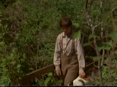 1998_-_Summer_of_the_Monkeys_02_mp41012.jpg