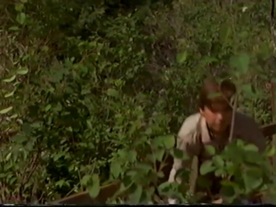 1998_-_Summer_of_the_Monkeys_02_mp41014.jpg