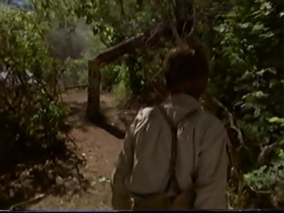 1998_-_Summer_of_the_Monkeys_02_mp41042.jpg