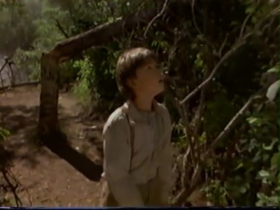 1998_-_Summer_of_the_Monkeys_02_mp41045.jpg