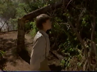 1998_-_Summer_of_the_Monkeys_02_mp41046.jpg