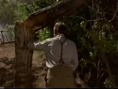 1998_-_Summer_of_the_Monkeys_02_mp41048.jpg