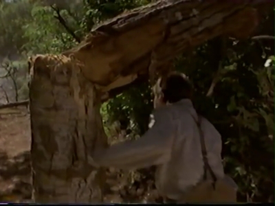 1998_-_Summer_of_the_Monkeys_02_mp41049.jpg