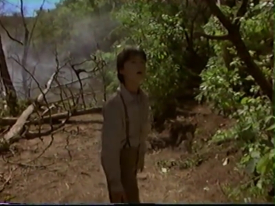 1998_-_Summer_of_the_Monkeys_02_mp41056.jpg
