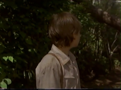 1998_-_Summer_of_the_Monkeys_02_mp41066.jpg