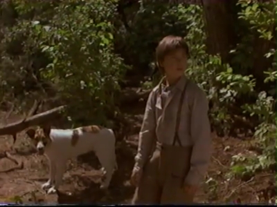 1998_-_Summer_of_the_Monkeys_02_mp41074.jpg