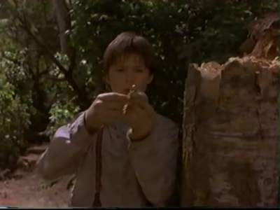 1998_-_Summer_of_the_Monkeys_02_mp41085.jpg