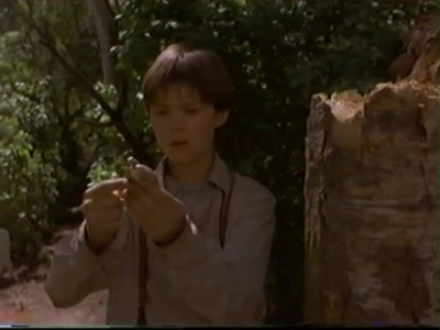 1998_-_Summer_of_the_Monkeys_02_mp41086.jpg