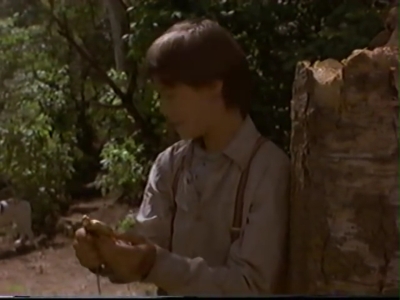 1998_-_Summer_of_the_Monkeys_02_mp41091.jpg