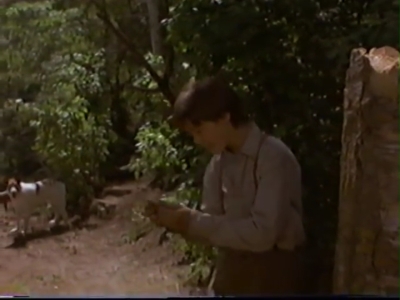 1998_-_Summer_of_the_Monkeys_02_mp41093.jpg