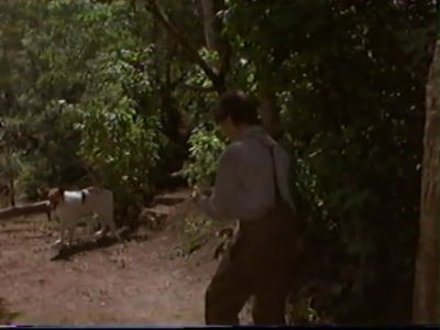 1998_-_Summer_of_the_Monkeys_02_mp41094.jpg