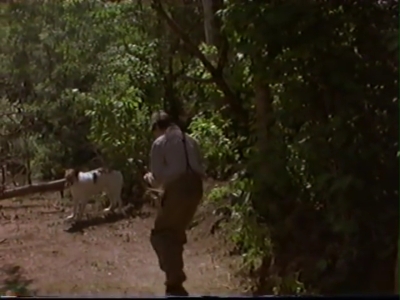 1998_-_Summer_of_the_Monkeys_02_mp41095.jpg