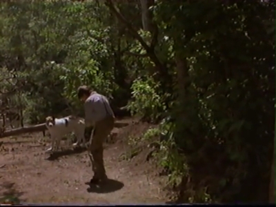 1998_-_Summer_of_the_Monkeys_02_mp41096.jpg