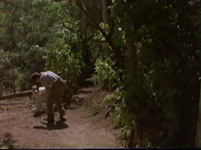 1998_-_Summer_of_the_Monkeys_02_mp41097.jpg