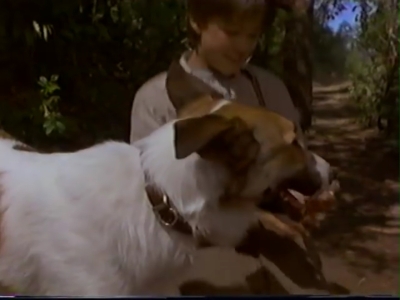 1998_-_Summer_of_the_Monkeys_02_mp41098.jpg