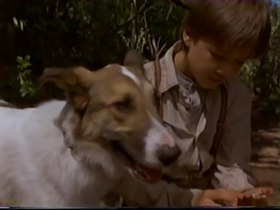 1998_-_Summer_of_the_Monkeys_02_mp41099.jpg