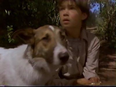1998_-_Summer_of_the_Monkeys_02_mp41102.jpg