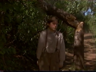 1998_-_Summer_of_the_Monkeys_02_mp41114.jpg