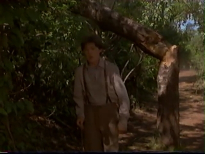 1998_-_Summer_of_the_Monkeys_02_mp41115.jpg